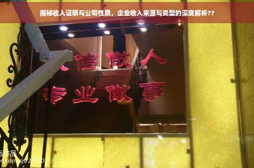 揭秘收入证明与公司性质，企业收入来源与类型的深度解析??