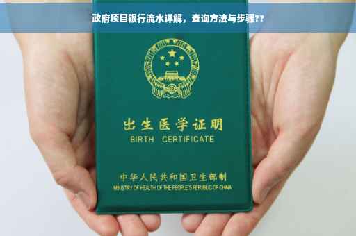 政府项目银行流水详解，查询方法与步骤??