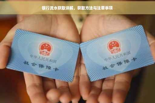 银行流水获取详解，获取方法与注意事项
