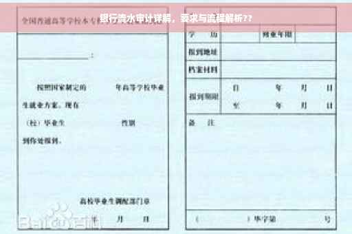 银行流水审计详解，要求与流程解析??