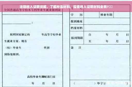 法院收入证明详解，了解所需材料，探索收入证明材料全貌?⚡️