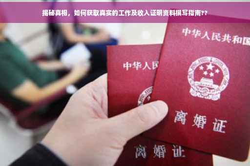 揭秘真相，如何获取真实的工作及收入证明资料撰写指南??