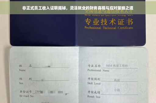 非正式员工收入证明揭秘，灵活就业的财务真相与应对策略之道