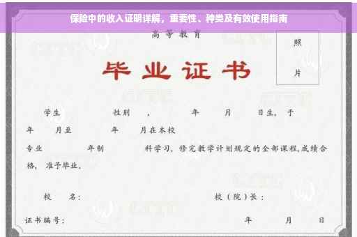 保险中的收入证明详解，重要性、种类及有效使用指南