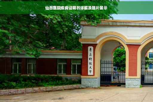 仙岳医院疾病证明书详解及图片展示
