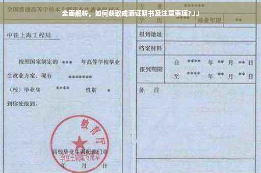 全面解析，如何获取戒酒证明书及注意事项?⚡️