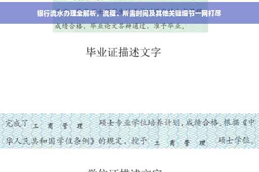 银行流水办理全解析，流程、所需时间及其他关键细节一网打尽