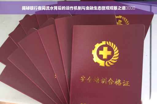 揭秘银行夜间流水背后的运作机制与金融生态微观观察之道​​​​