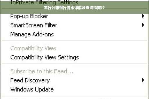 农行公帐银行流水详解及查询指南??