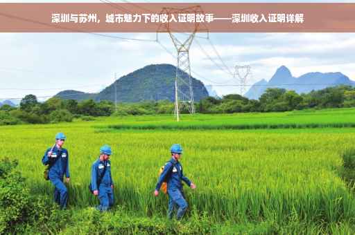 深圳与苏州，城市魅力下的收入证明故事——深圳收入证明详解