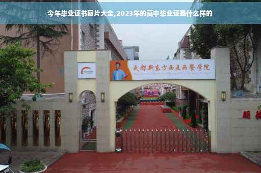 今年毕业证书图片大全,2023年的高中毕业证是什么样的