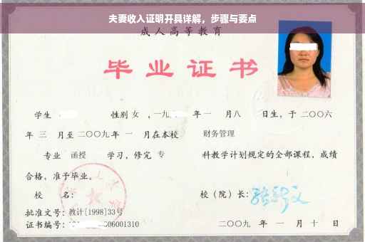 夫妻收入证明开具详解，步骤与要点