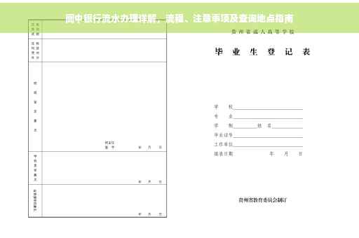 阆中银行流水办理详解，流程、注意事项及查询地点指南