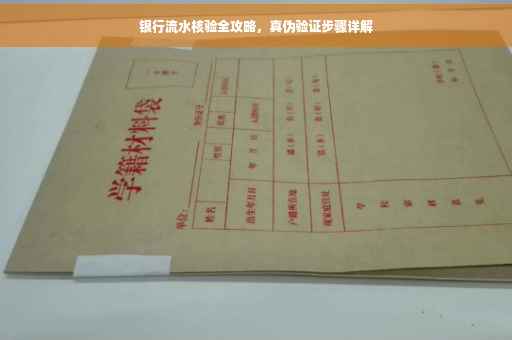 银行流水核验全攻略，真伪验证步骤详解