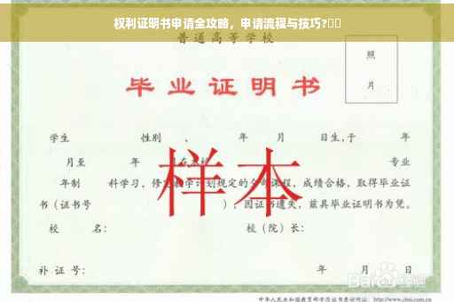 权利证明书申请全攻略，申请流程与技巧?⚡️