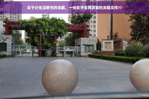 关于计生证明书的详解，一份关乎生育政策的关键文件??
