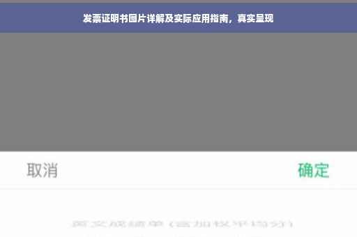 发票证明书图片详解及实际应用指南，真实呈现