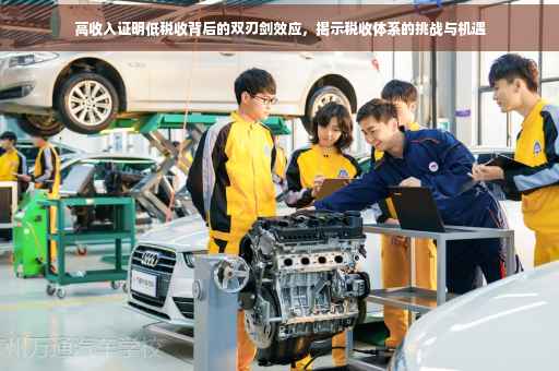 高收入证明低税收背后的双刃剑效应，揭示税收体系的挑战与机遇