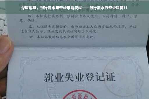 深度解析，银行流水与签证申请流程——银行流水办签证指南??