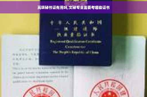高级秘书证有用吗,文秘专业需要考哪些证书