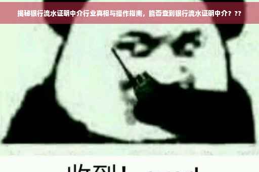 揭秘银行流水证明中介行业真相与操作指南，能否查到银行流水证明中介？??