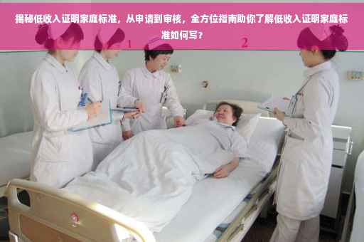 揭秘低收入证明家庭标准，从申请到审核，全方位指南助你了解低收入证明家庭标准如何写？
