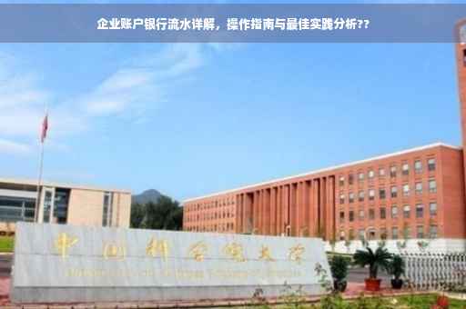 企业账户银行流水详解，操作指南与最佳实践分析??