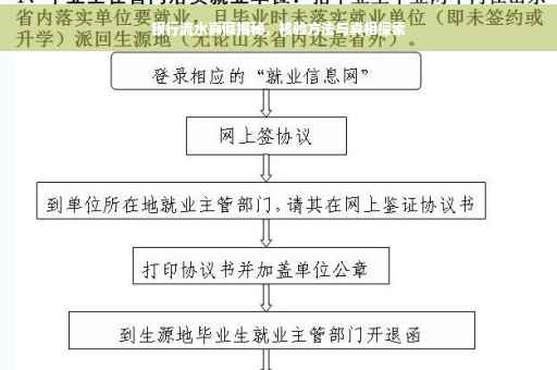 银行流水真假揭秘，核验方法与真相探索