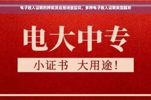 电子收入证明的种类及应用场景探究，多种电子收入证明类型解析