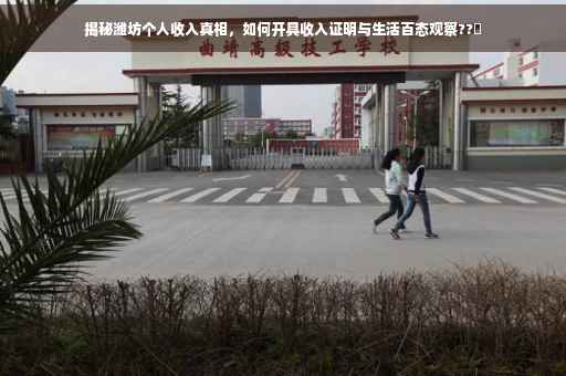 揭秘潍坊个人收入真相，如何开具收入证明与生活百态观察??️