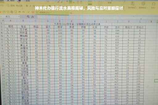 神木代办银行流水真相揭秘，风险与应对策略探讨