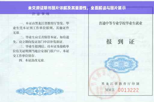 未交房证明书图片详解及其重要性，全面解读与图片展示