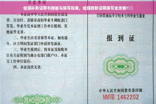 低保补助证明书模板与填写指南，低保救助证明撰写全攻略?⚡️