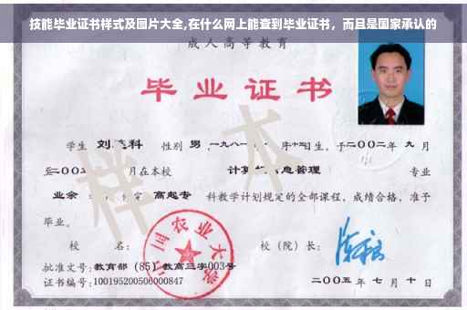 技能毕业证书样式及图片大全,在什么网上能查到毕业证书，而且是国家承认的