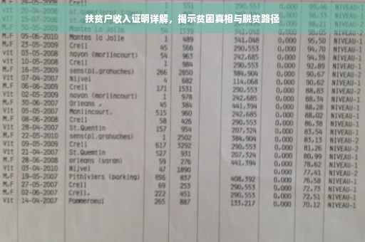 扶贫户收入证明详解，揭示贫困真相与脱贫路径