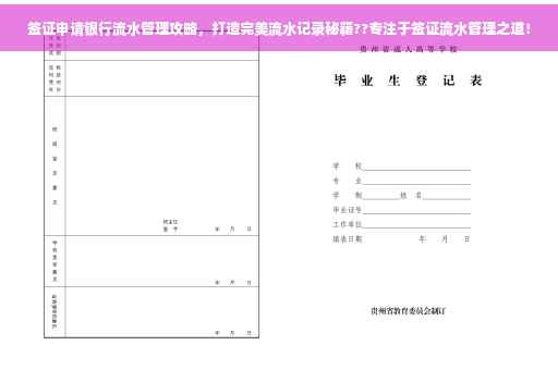 签证申请银行流水管理攻略，打造完美流水记录秘籍??专注于签证流水管理之道！