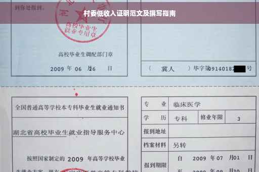 村委低收入证明范文及撰写指南