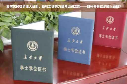 海南农民徒步收入证明，勤劳坚韧的力量与证明之路——如何开具徒步收入证明？