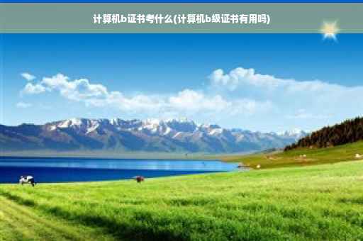 计算机b证书考什么(计算机b级证书有用吗) 计算机b证书考什么(计算机b级证书有用吗)