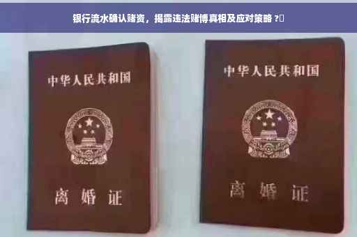 银行流水确认赌资，揭露违法赌博真相及应对策略 ?️