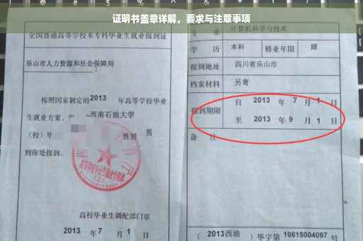 证明书盖章详解，要求与注意事项