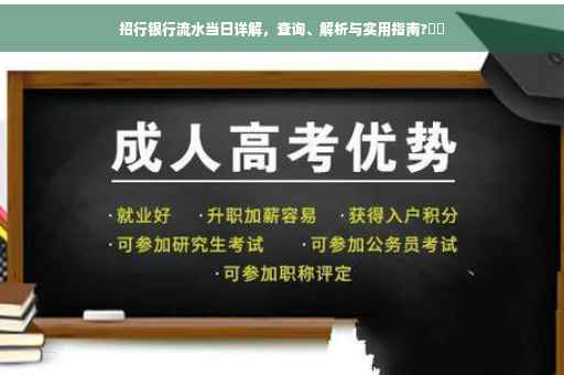招行银行流水当日详解，查询、解析与实用指南?⚡️