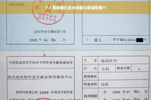 个人薪资银行流水详解与查询指南??