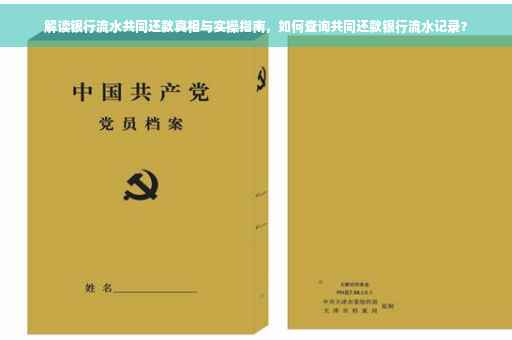 解读银行流水共同还款真相与实操指南，如何查询共同还款银行流水记录？