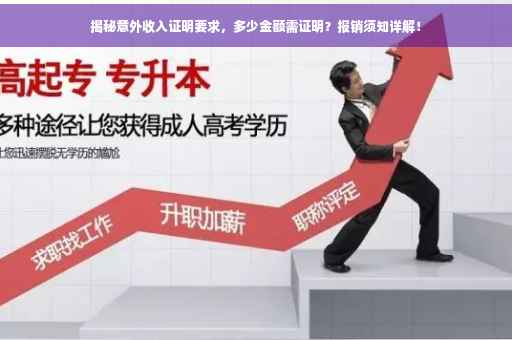 揭秘意外收入证明要求，多少金额需证明？报销须知详解！