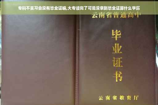专科不实习会没有毕业证嘛,大专读完了可是没拿到毕业证算什么学历