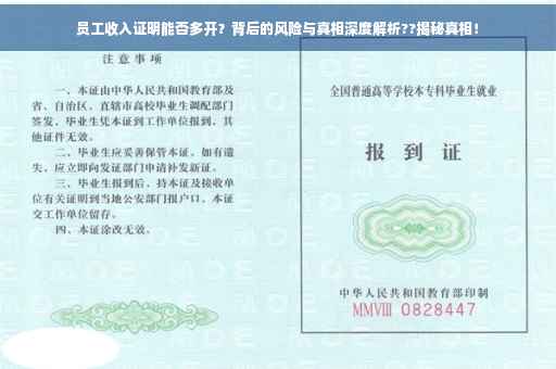员工收入证明能否多开？背后的风险与真相深度解析??揭秘真相！