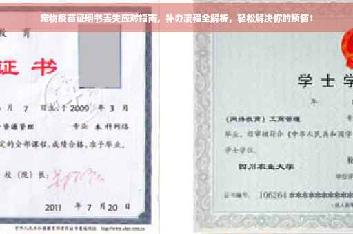 宠物疫苗证明书丢失应对指南，补办流程全解析，轻松解决你的烦恼！