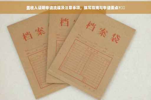 盖收入证明申请流程及注意事项，撰写指南与申请要点?⚡️