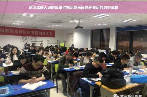 范冰冰收入证明复印件揭示娱乐圈光环背后的财务真相